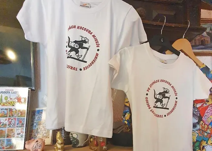 Penzion Hrusická Restaurace A 3*