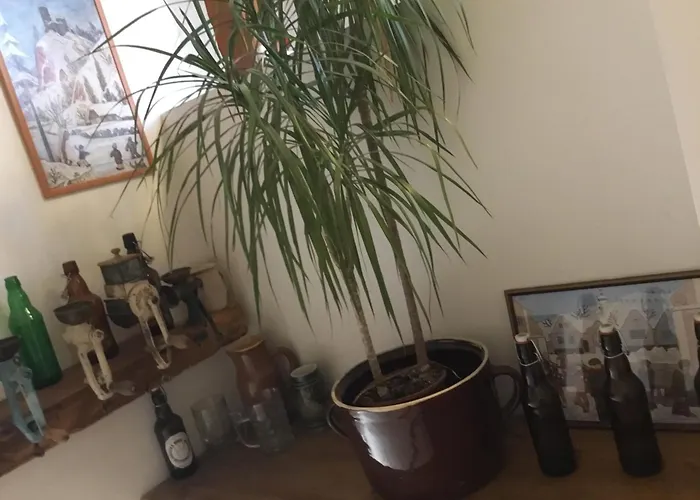 Hrusicka Restaurace A Konukevi